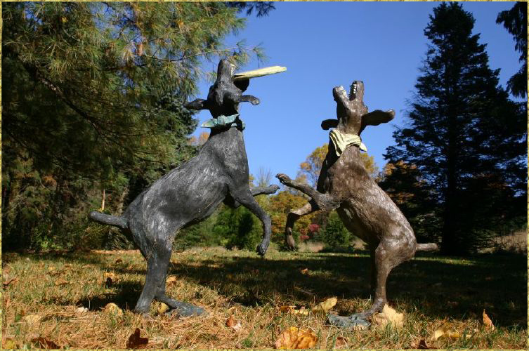Dogs Playing Frisbee